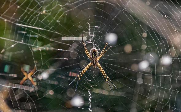     Uwe Kribus/imageBROKER.com/Global Look Press