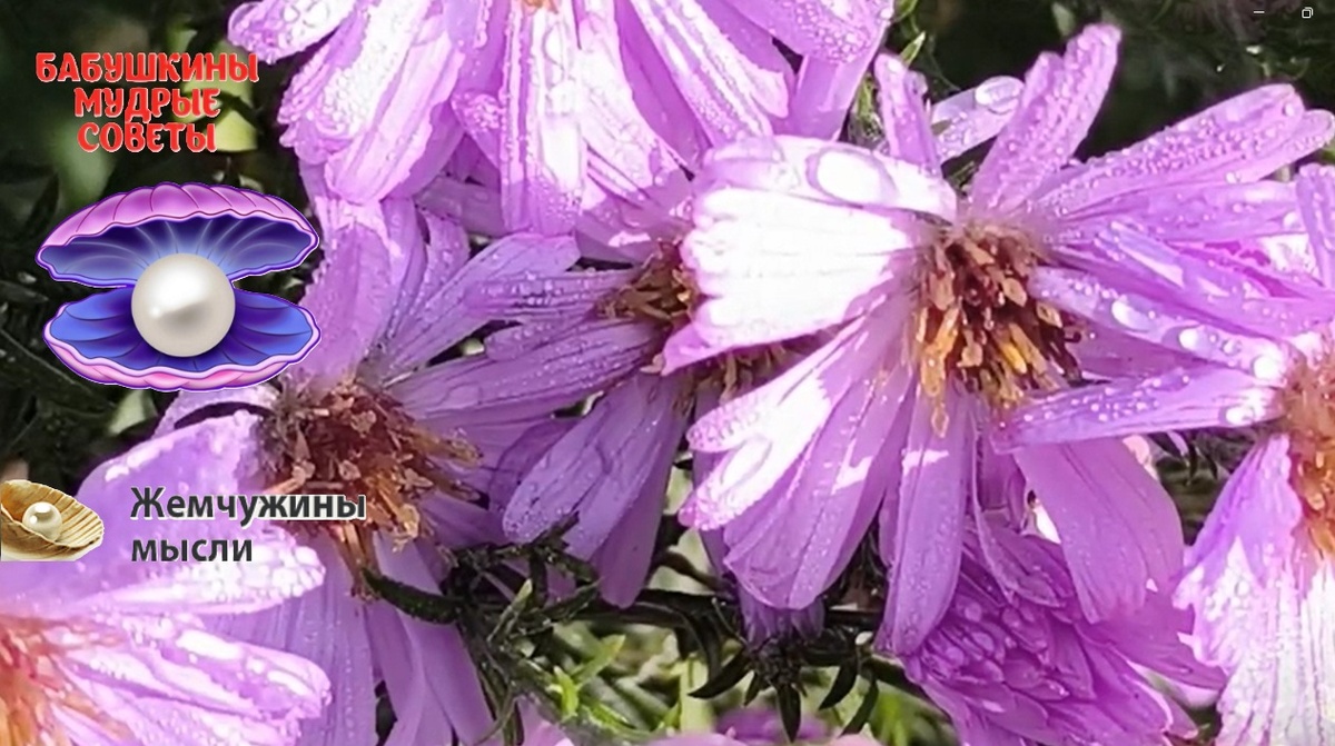 фото из личного архива