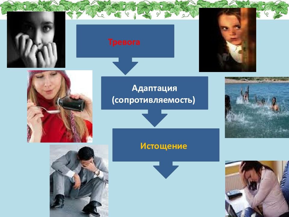 Стадии  и последствия стресса