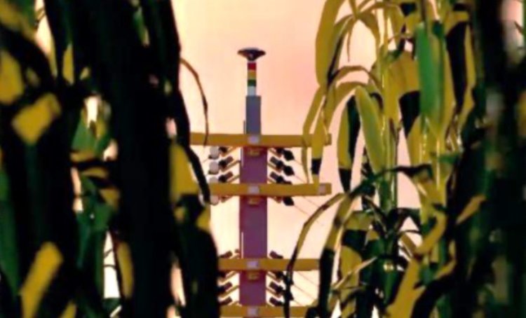    Фото: PowerPollen