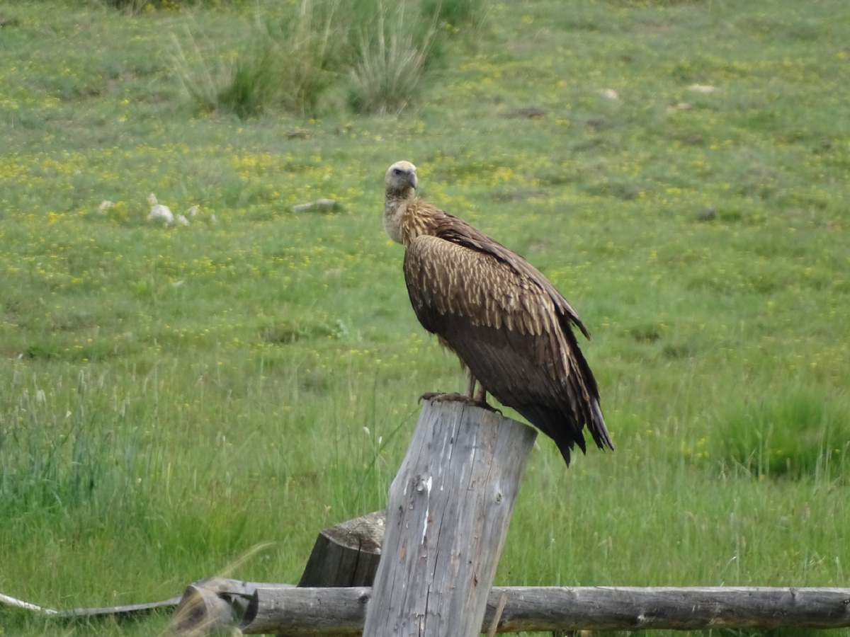 Фото: Марина Алексеенко