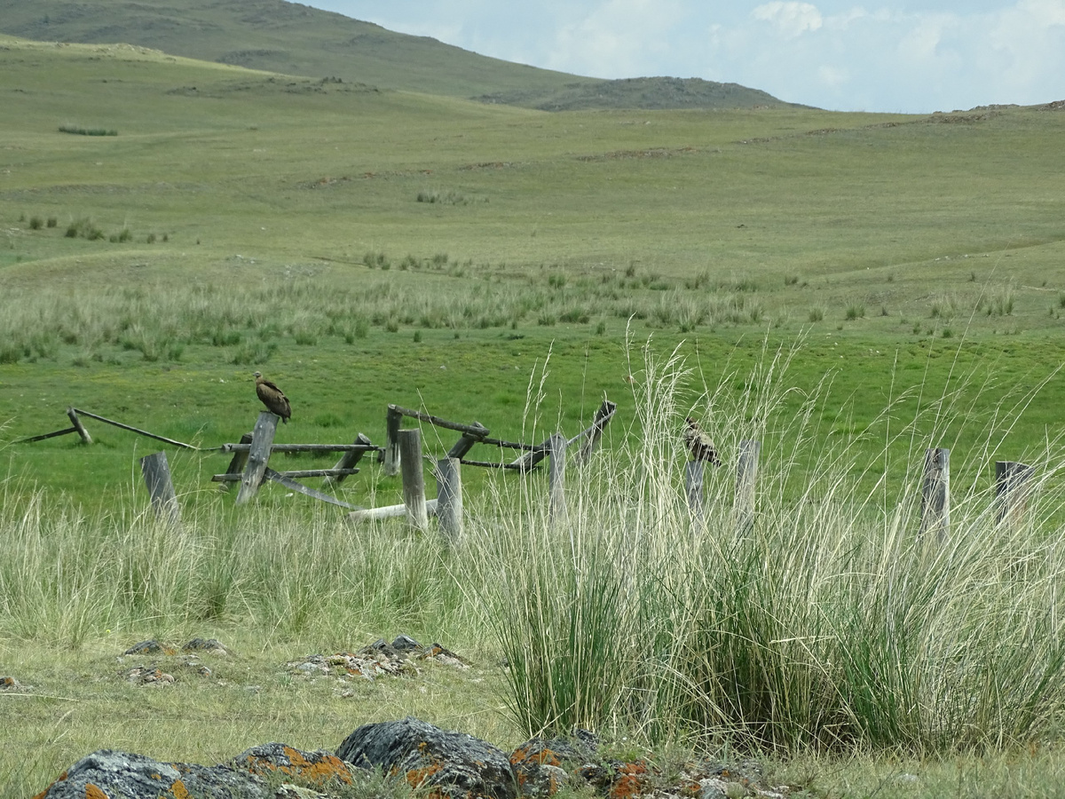 Фото: Марина Алексеенко