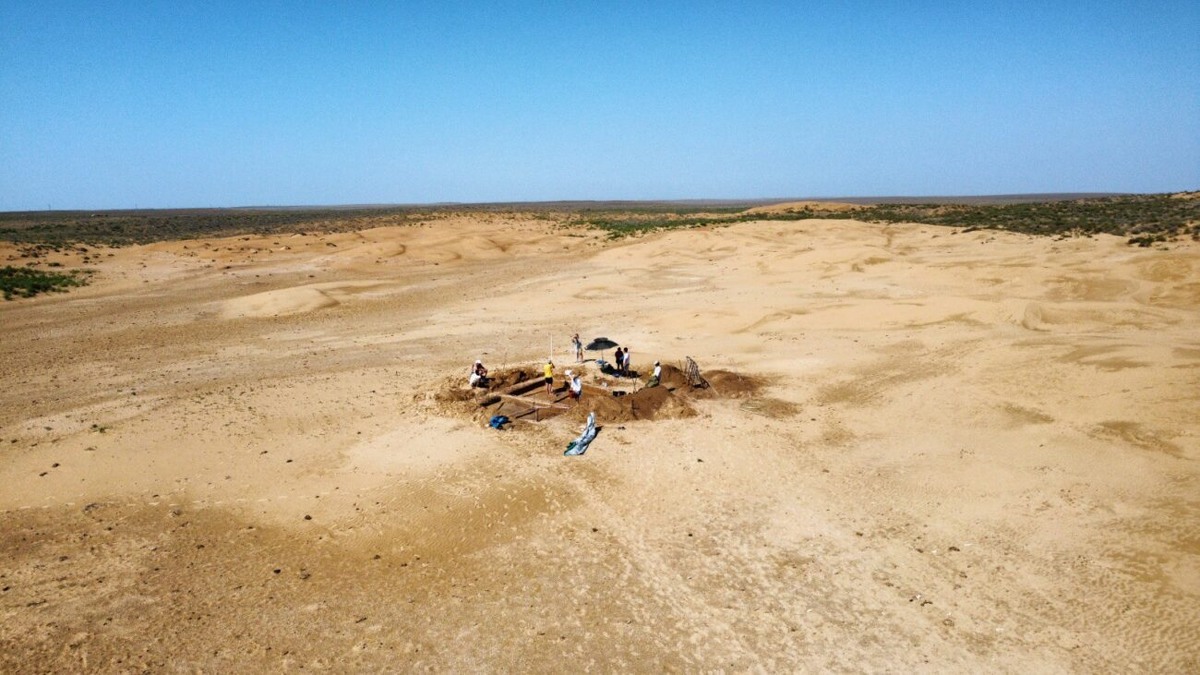 Источник: nsu.ru