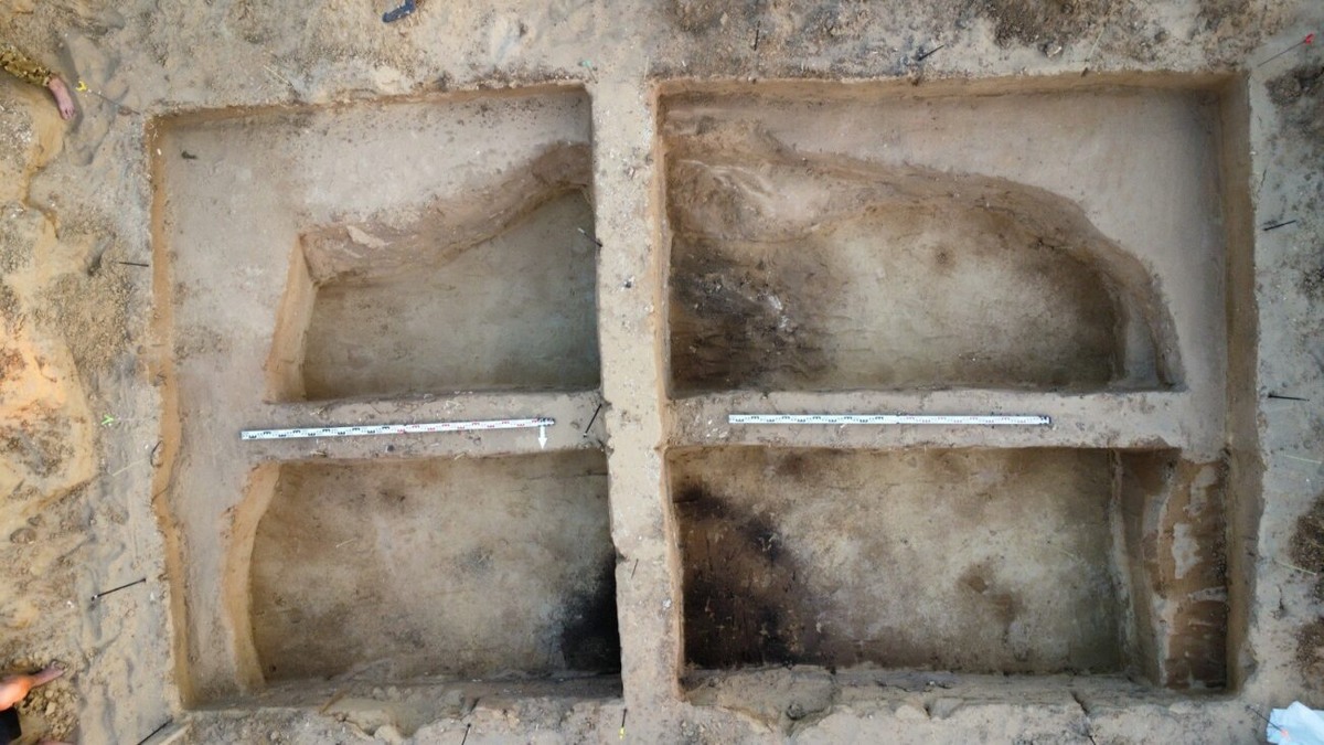 Источник: nsu.ru