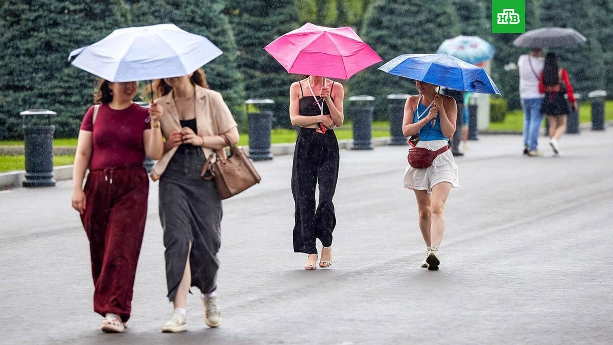    Фото: Максим Денисов / mos.ru