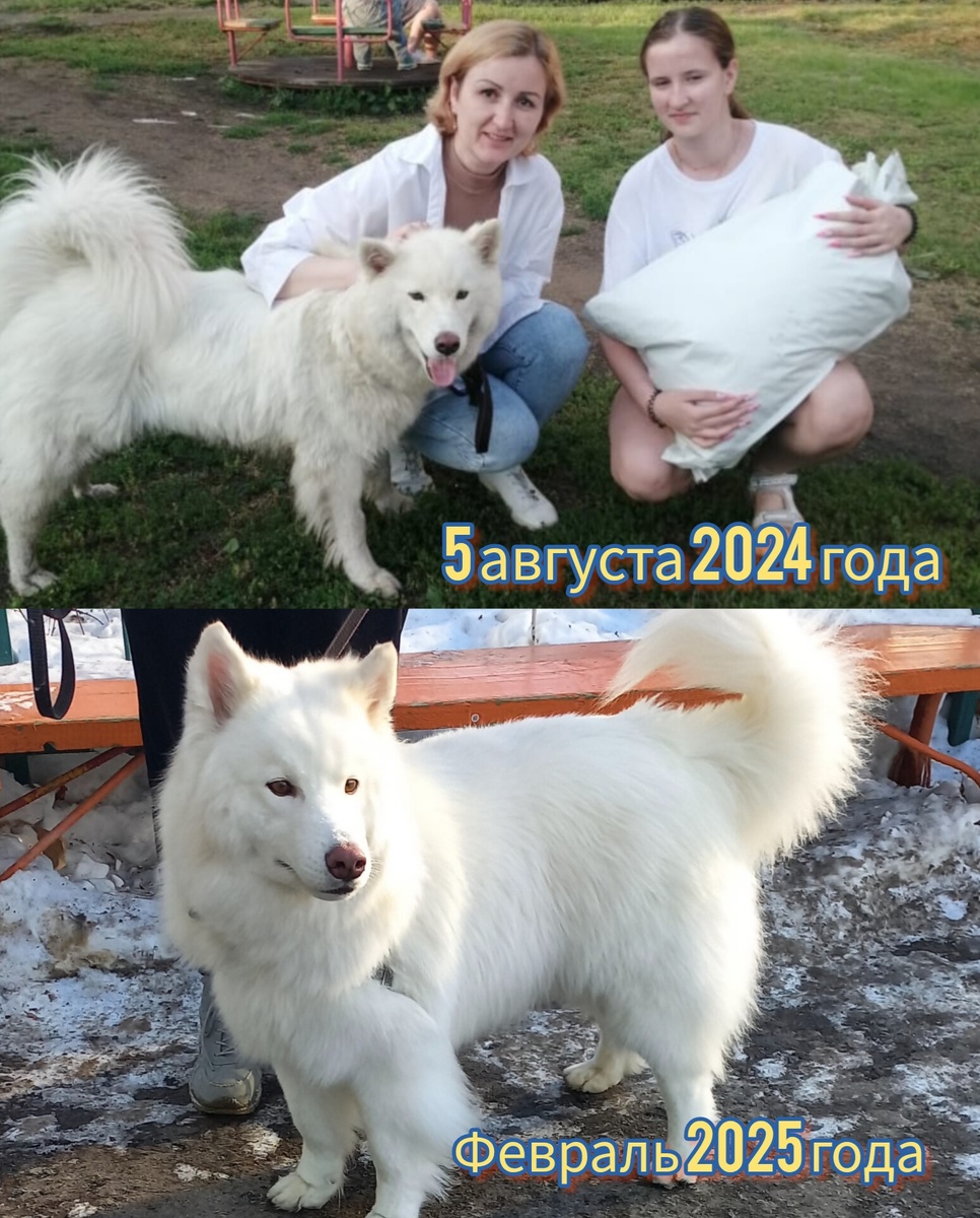 Первый день, когда забрали его домой. И второе фото спустя 6 месяцев. Счастливый ребёнок же))