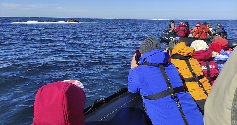 Фото: Татьяна Приорожная