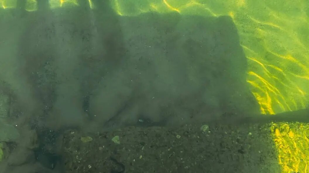    Байкальская межрегиональная природоохранная прокуратура