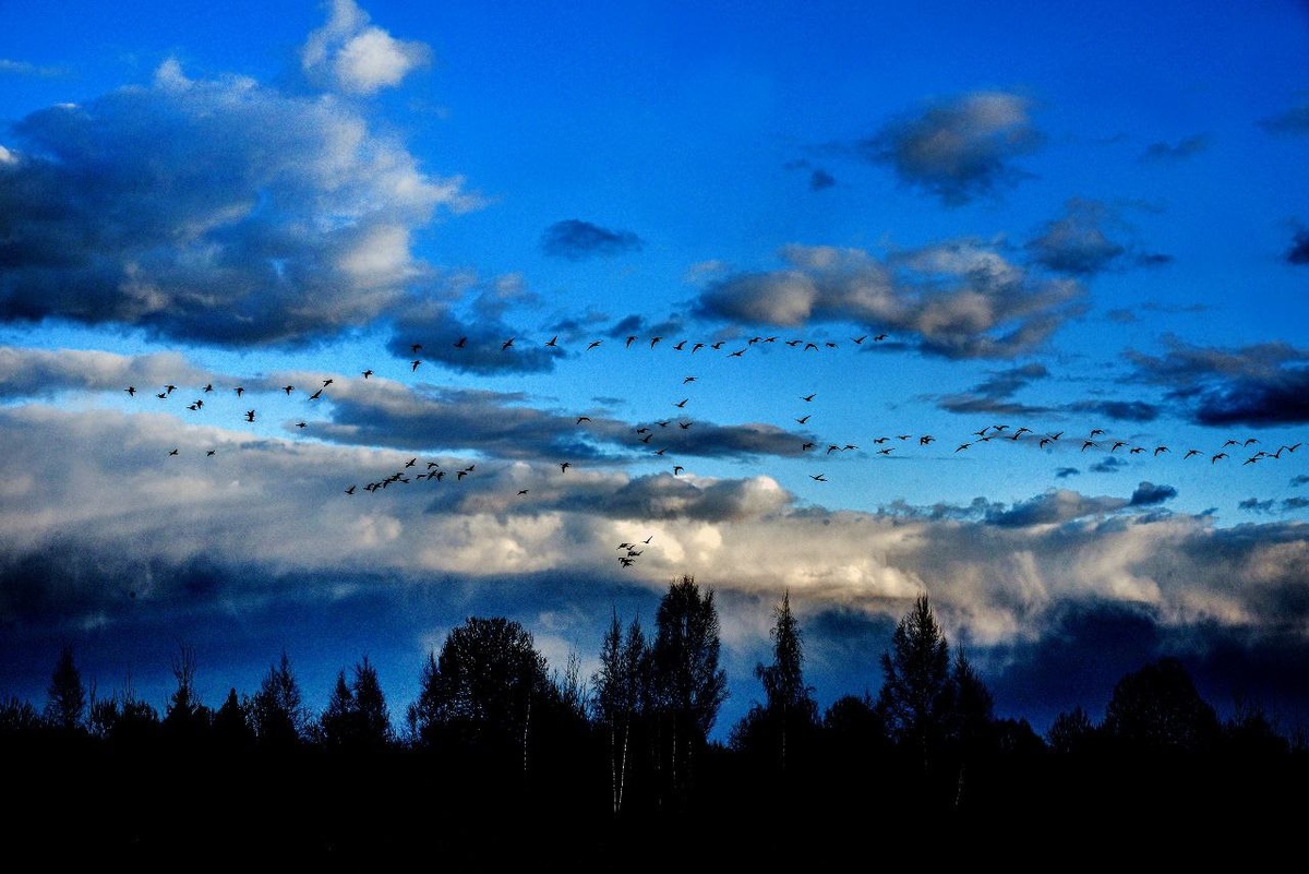     Автор фото: Виталий ГАРКУША (архив)