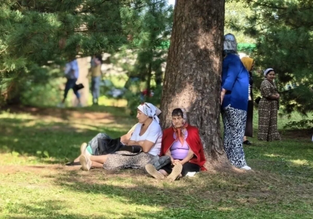    Чудо исцеления.