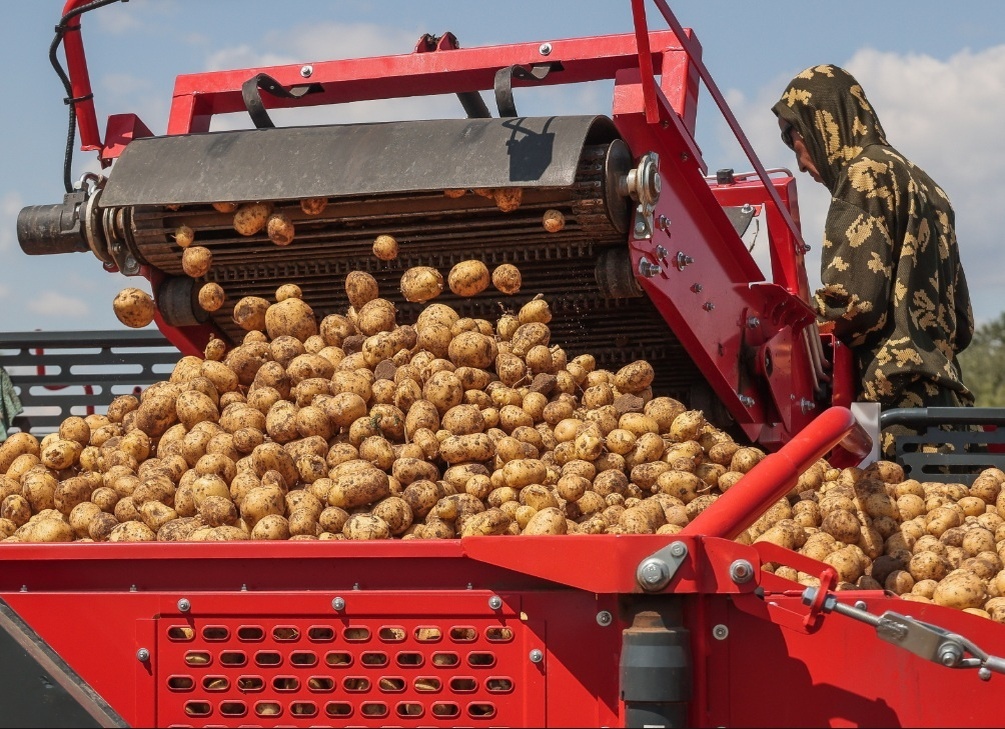  © Дмитрий Рогулин/ ТАСС