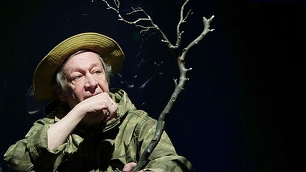    Фото: Ekaterina Tsvetkova/Globallookpress