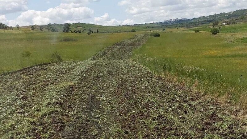      Фото: Администрация Ставрополя