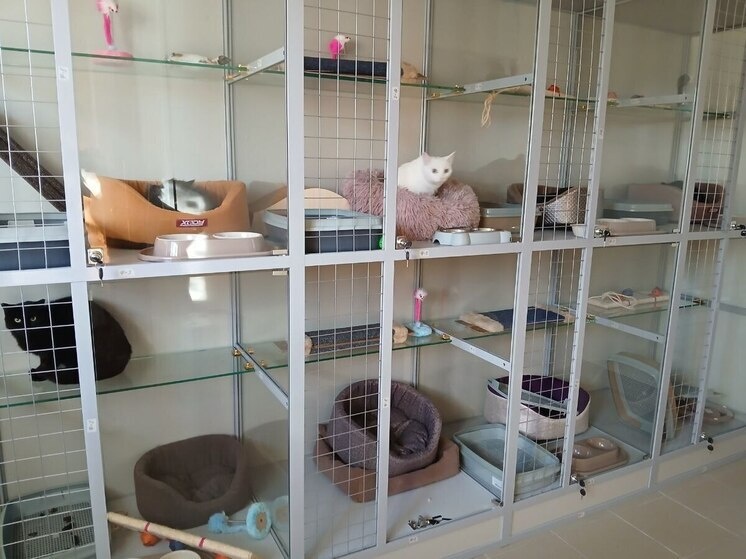   МК в Бурятии