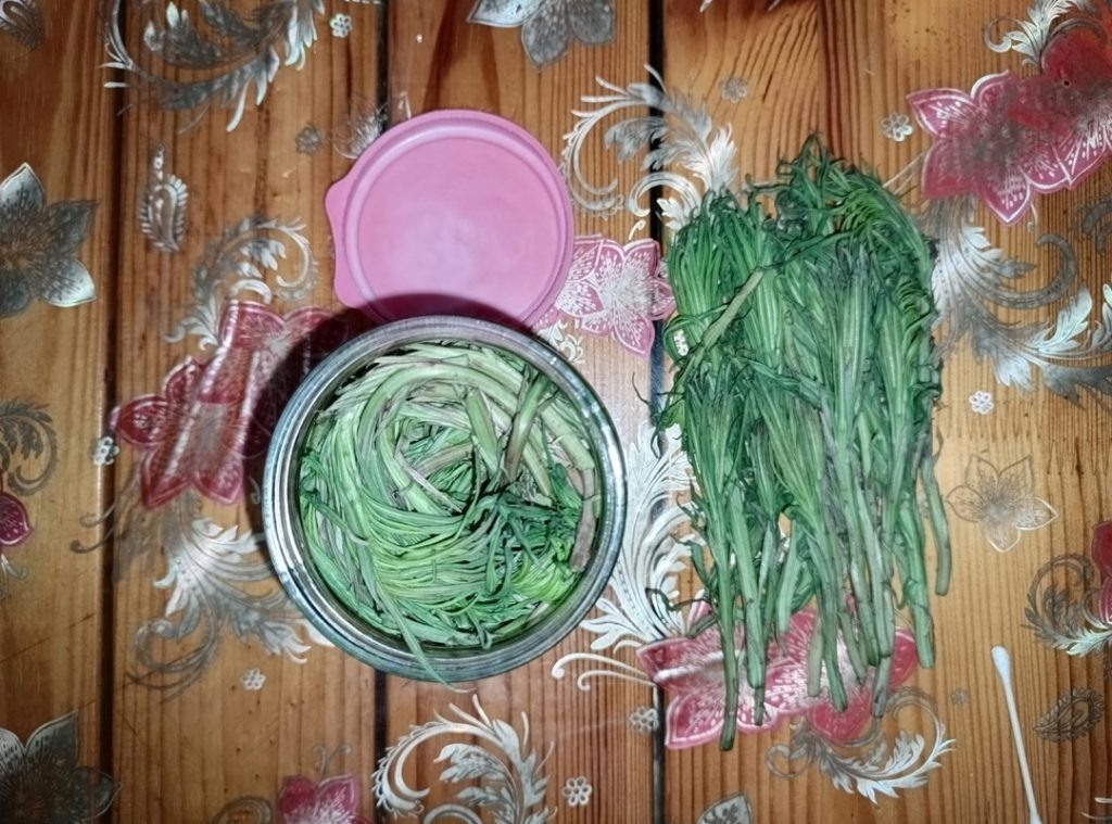 Собранные Марией травы. Фотография из архива Марии Дьяченко