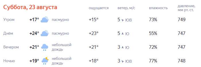 Погода в день матча