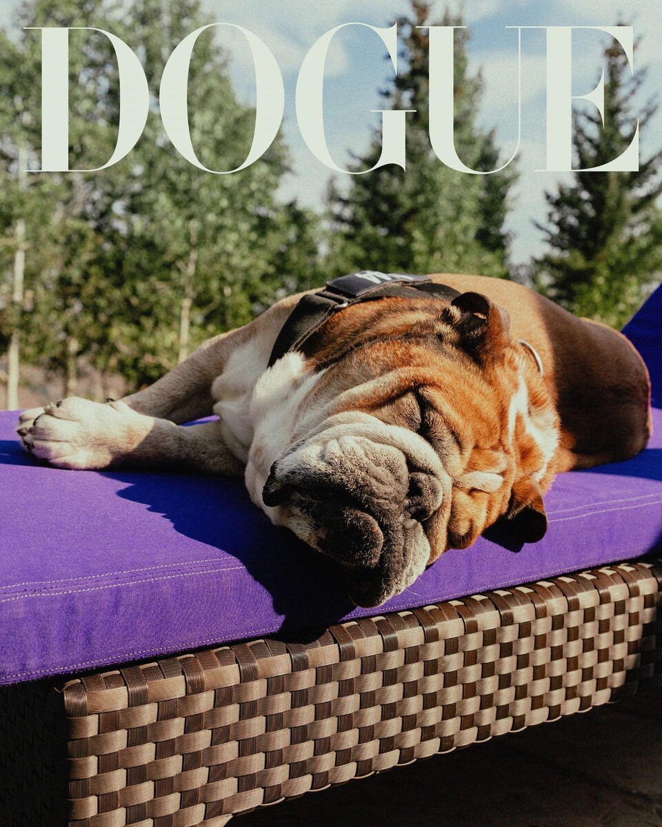    Роско на обложке DogueФото: Vogue