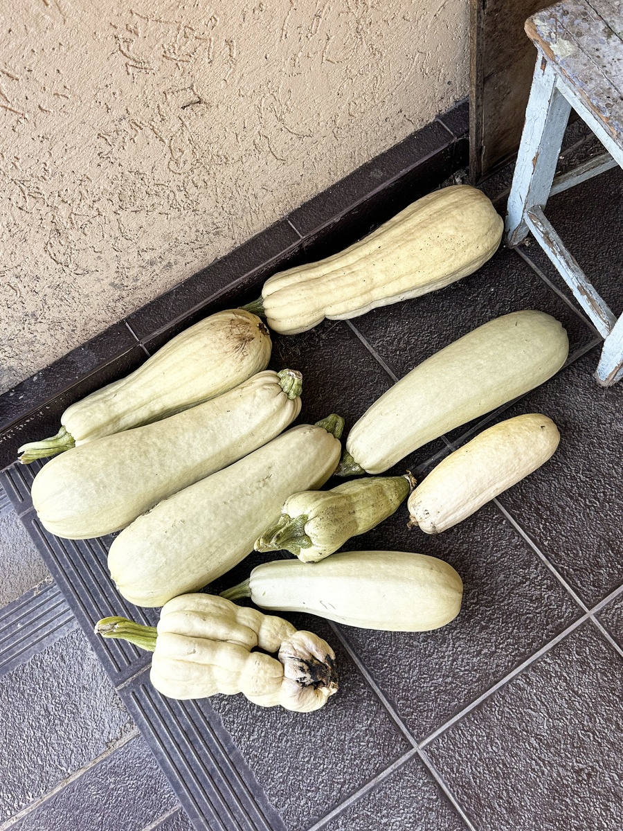 Наши торпеды