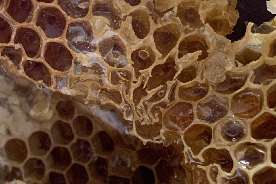 Фото сделано мной 