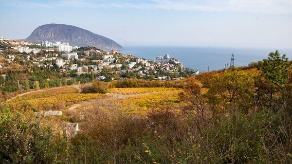    © РИА Новости Крым . Дмитрий Макеев