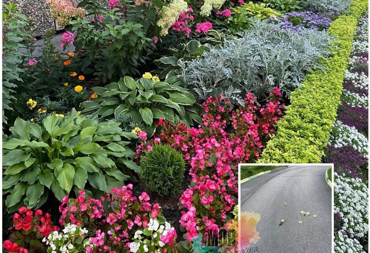    Фото: ТГ-канал "Моя Первомайка"