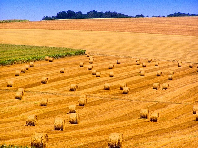    OLYMPUS DIGITAL CAMERA Василий Соколов