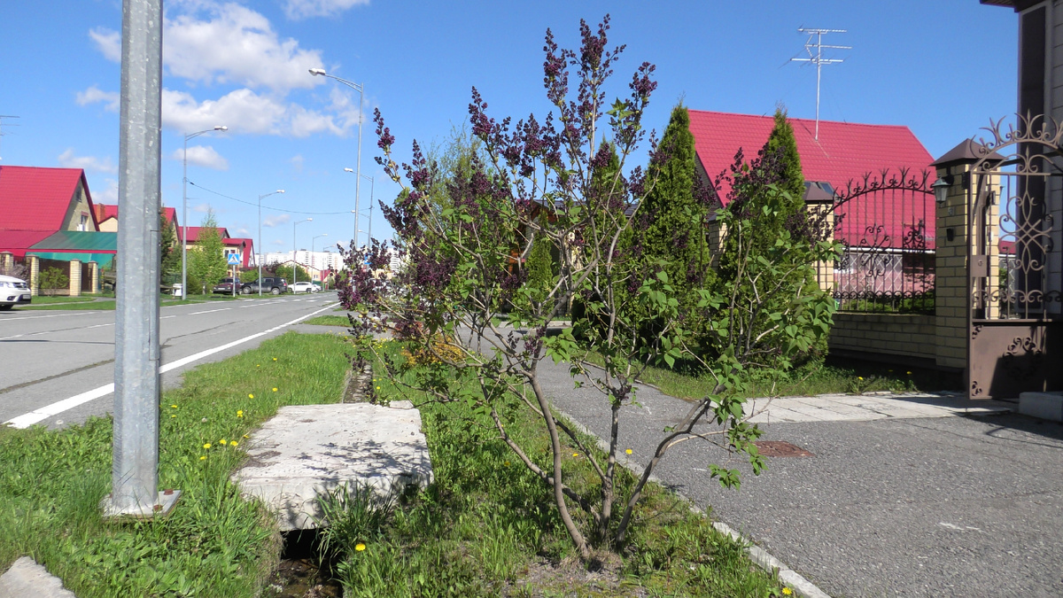 Участок для посадки вдоль дороги