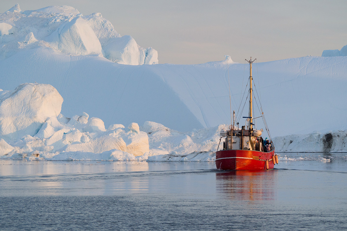    Фото: Tony Skerl / Shutterstock.com