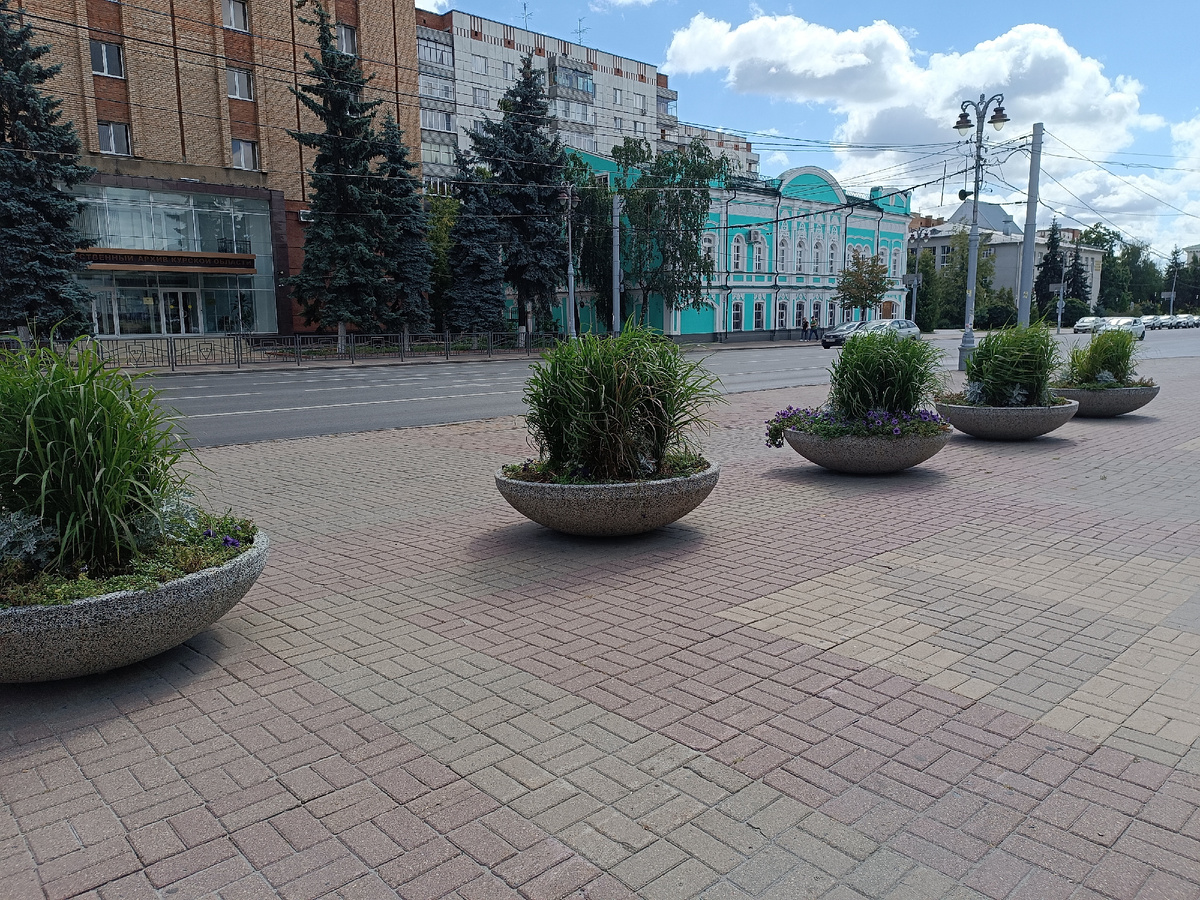 "Интересный" вариант оформления вазонов на улице Ленина в Курске. Вот эта "осока" нам напомнила болото. А пару лет назад здесь стояли птицы, на которые были потрачены приличные деньги, которые не пришлись по душе курянам и куда-то делись 🤔 Улетели, наверное. 