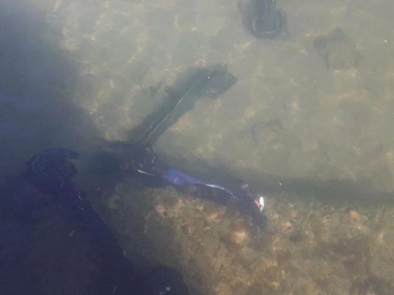 © Фото: vk.com/pdsslud