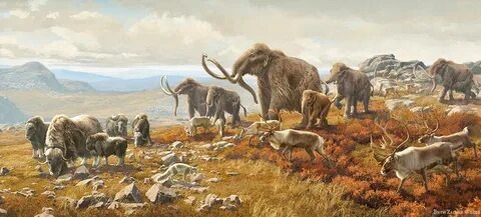 Мегафауна последней ледниковой эпохи. 