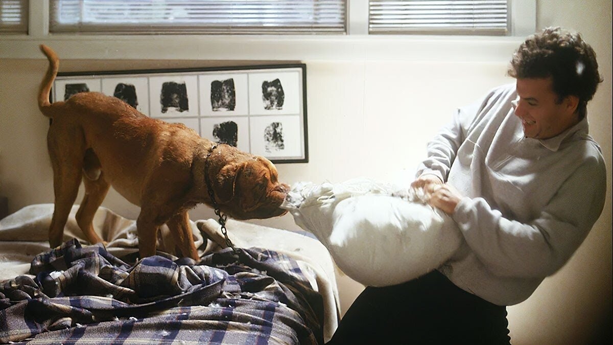 Кадр из фильма "Тернер и Хуч"