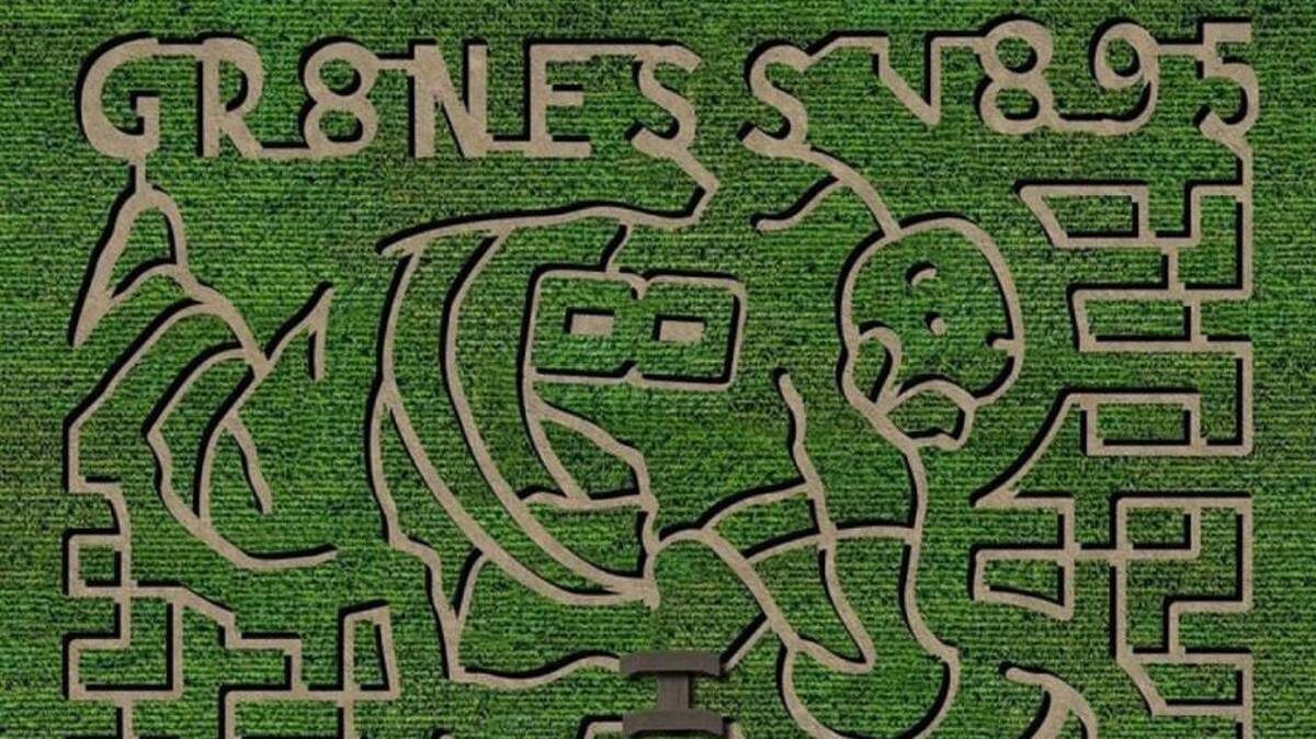    Фото: X / Futures Day 8.26