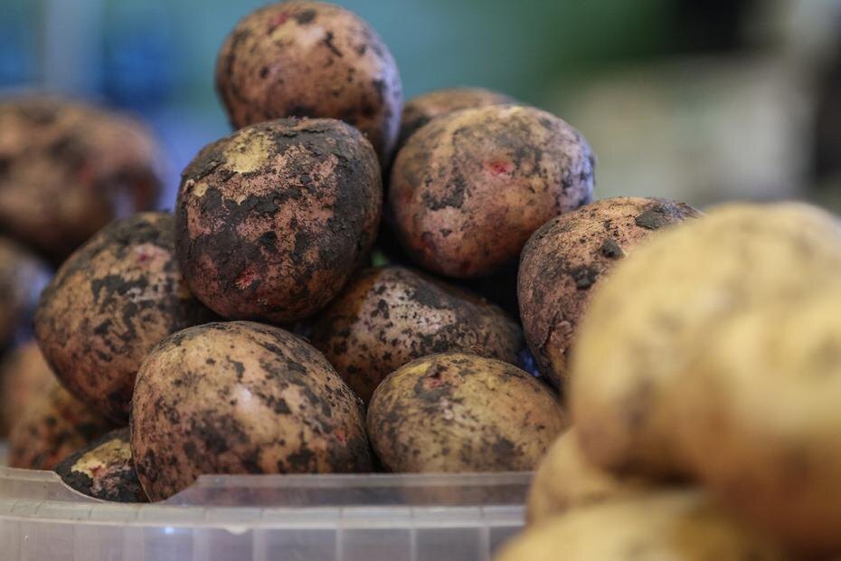    Сергей Булкин/NEWS.ru