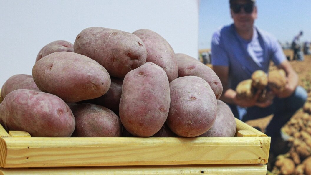    Фото: Bulkin Sergey/Globallookpress