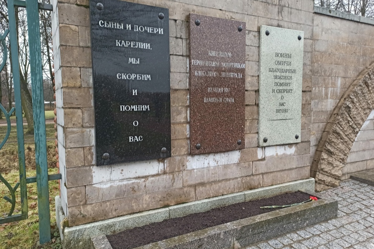    Фото: Олеся Орехова, источник: neva.today