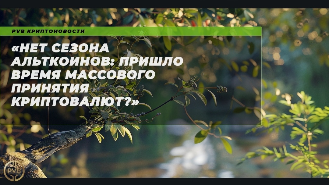    net-sezona-altkoinov-prishlo-vremya-massovogo-prinyatiya-kriptovalyut PVB_EXCHANGE