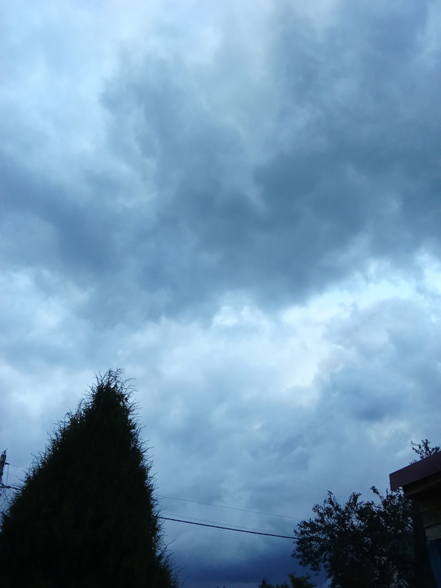 Личное фото