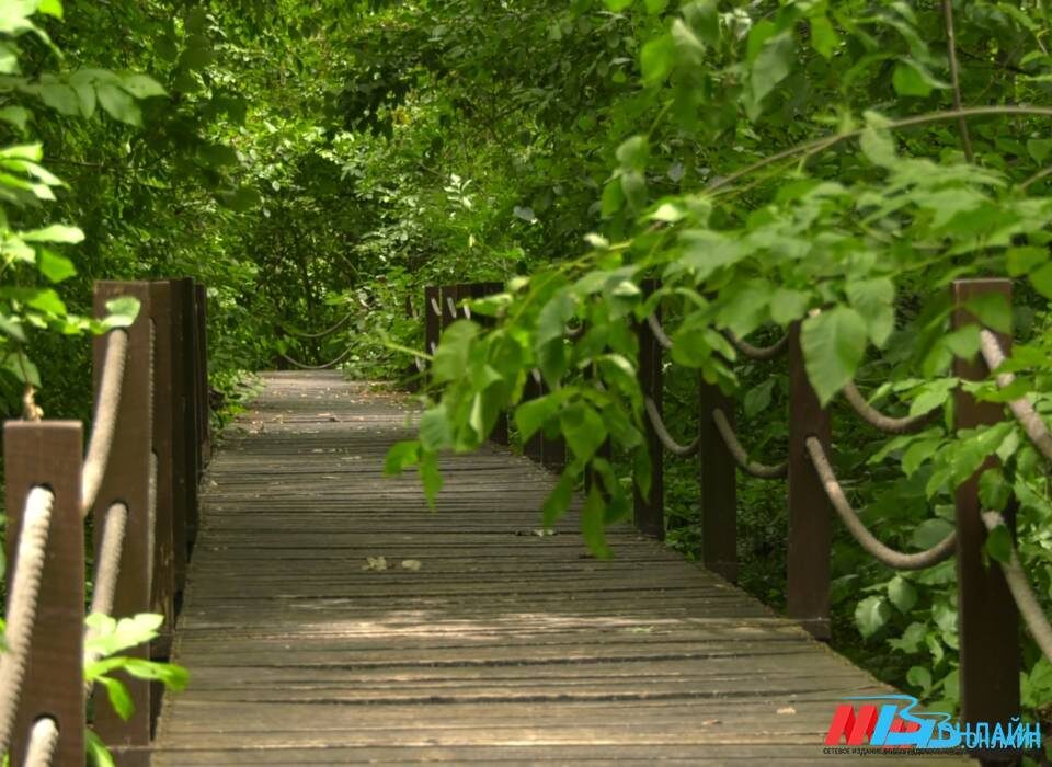    Фото: МТВ.ОНЛАЙН / архив