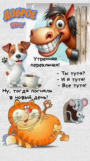 Картинки взяты из интернета