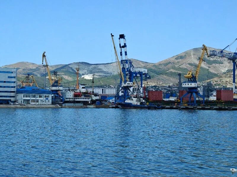    Фото: Юрий Серебренников/BFM Кубань