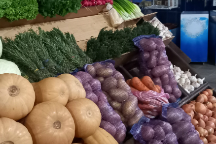    Фото из архива Progorod