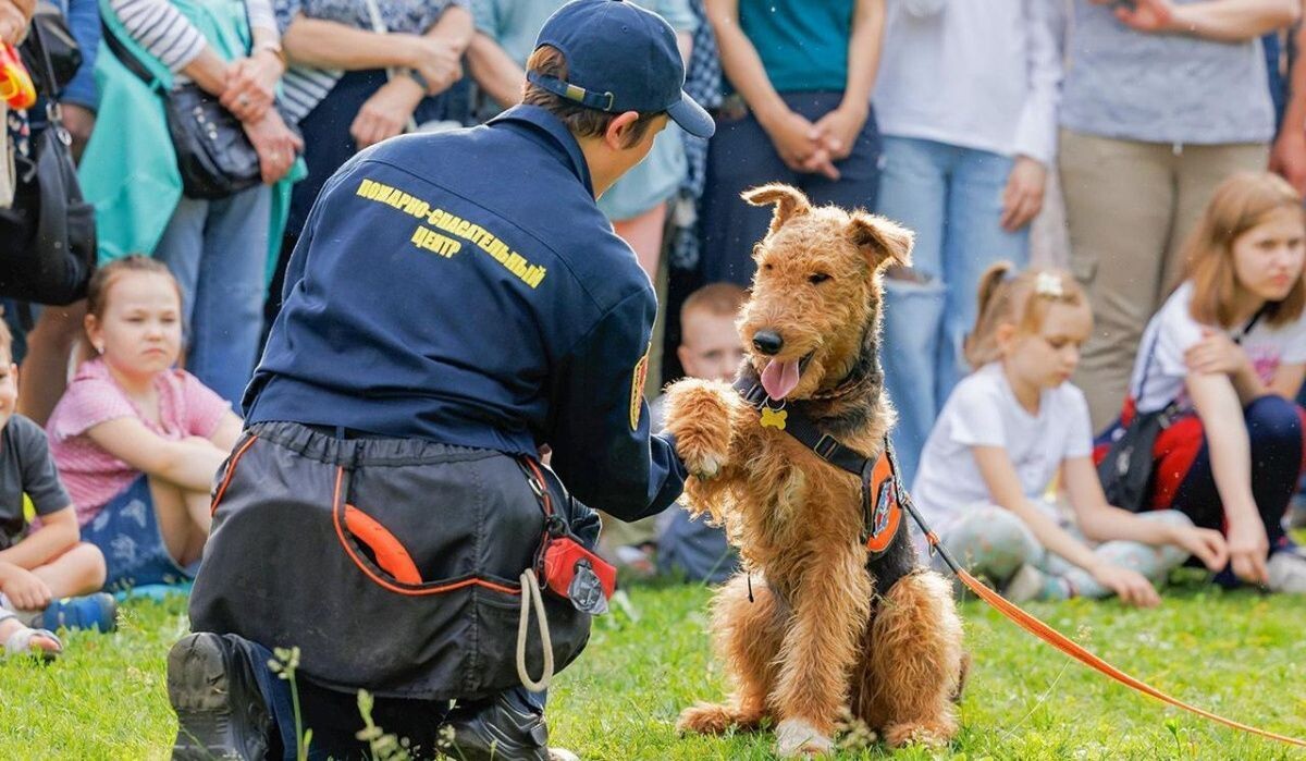     Служебная собака и кинолог. Источник: mos.ru Автор фото: Пресс-служба Мэра и Правительства Москвы