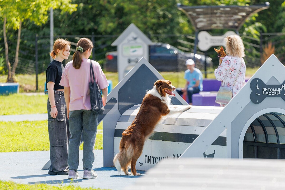    Показательные выступления служебных собак пройдут в Конькове и Южном Бутове