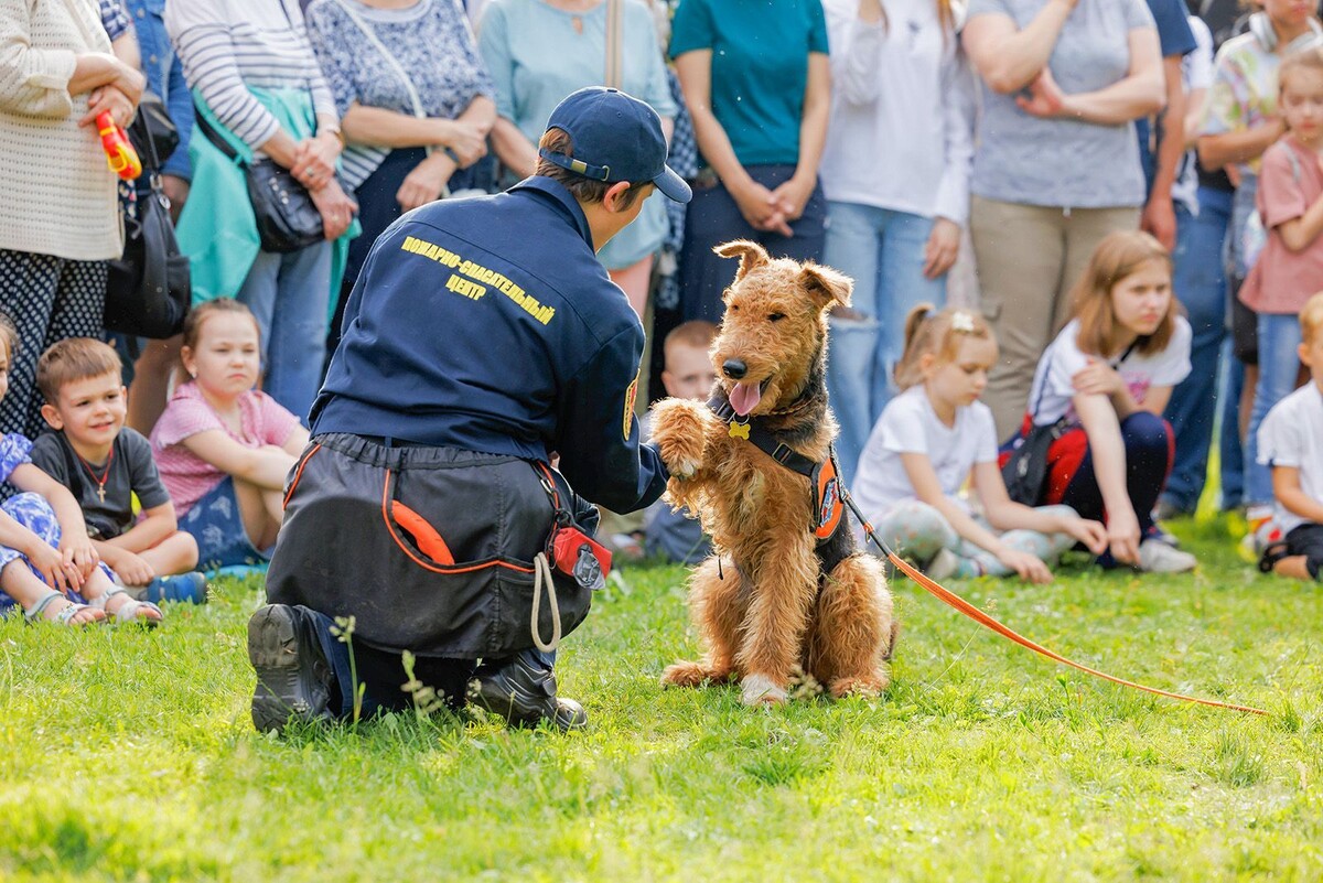    Показательные выступления служебных собак пройдут в Конькове и Южном Бутове