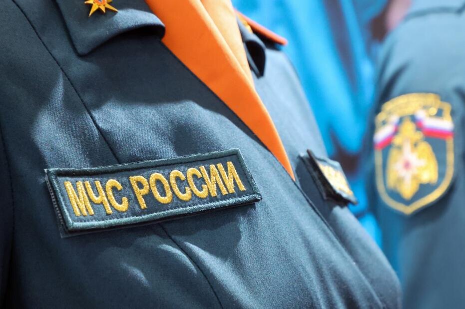    Алексей Белкин/NEWS.ru