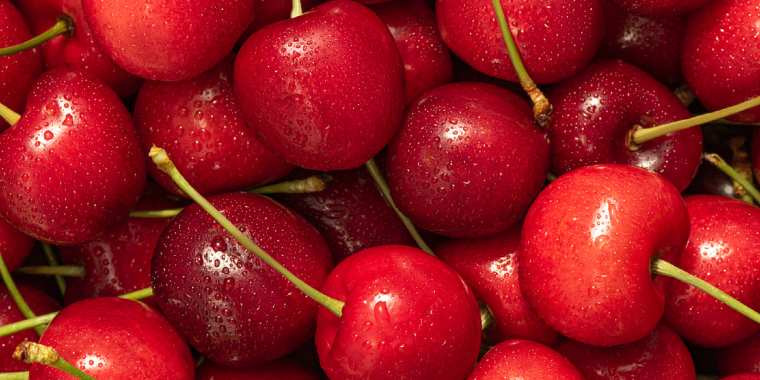 Рецепты летних салатов со сливами, абрикосами и черешней