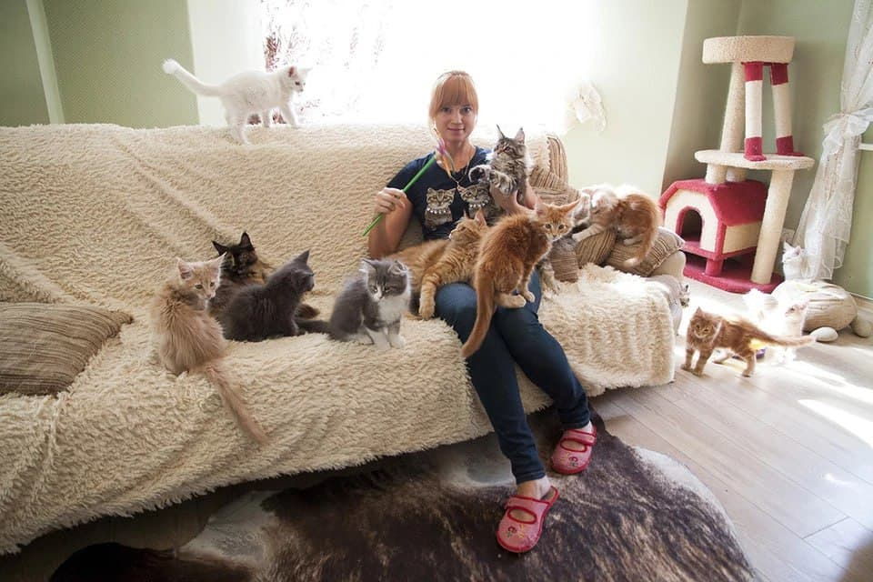 Госдума предлагает ограничить количество домашних животных