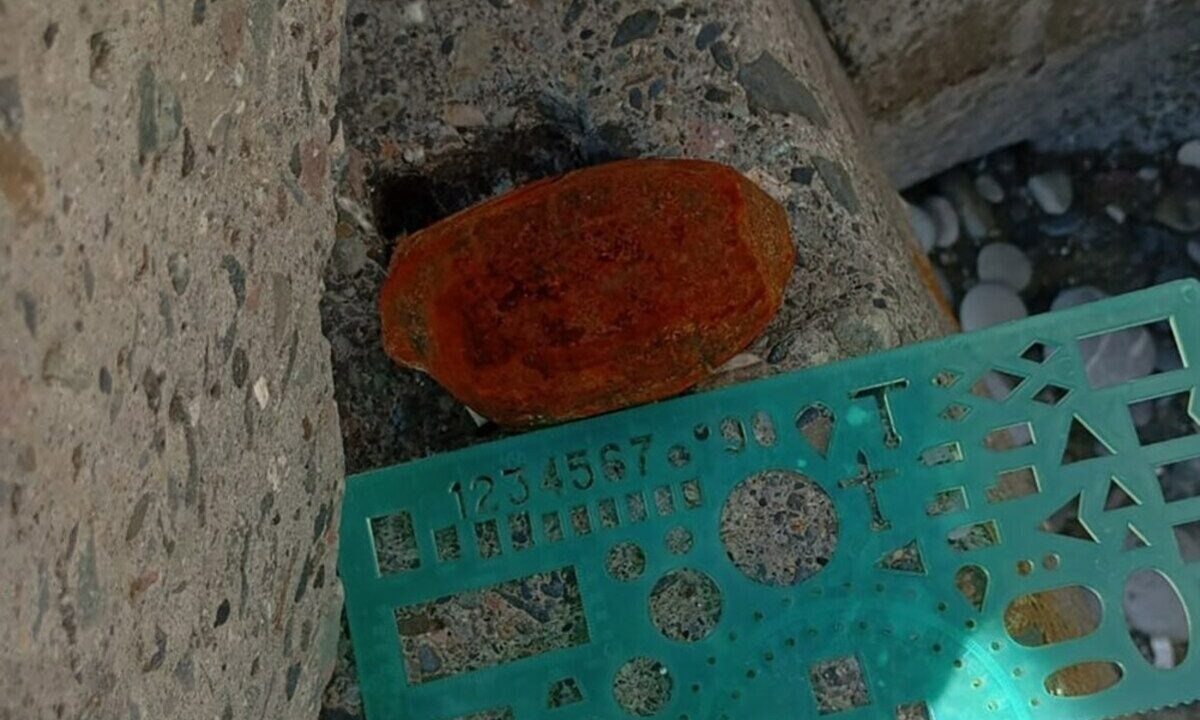    Фото t.me/rosgvard_krasnodar