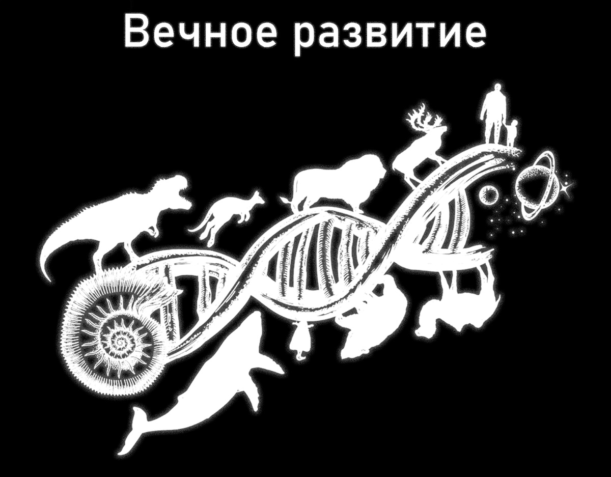 Вечное развитие